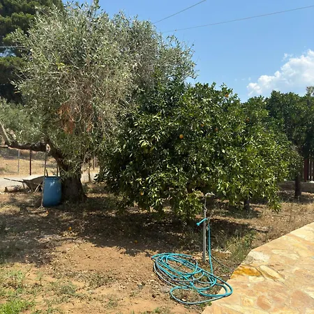 Margarita In Paralia Velikas Messíni